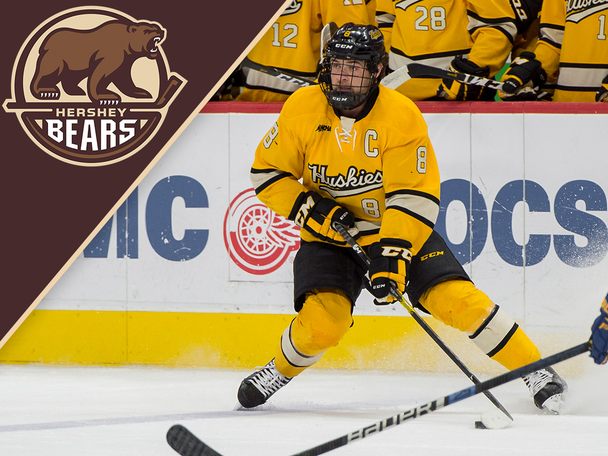 Dylan Steman signs ATO with Hershey Bears