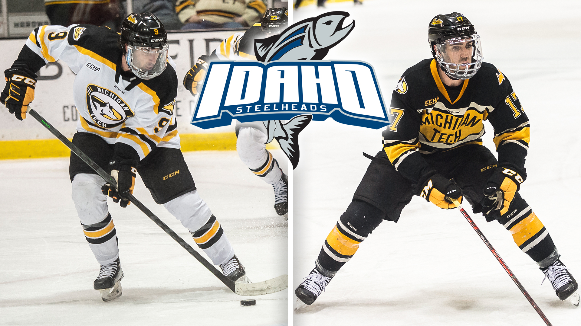 Misiak and Parrottino sign with Idaho in ECHL