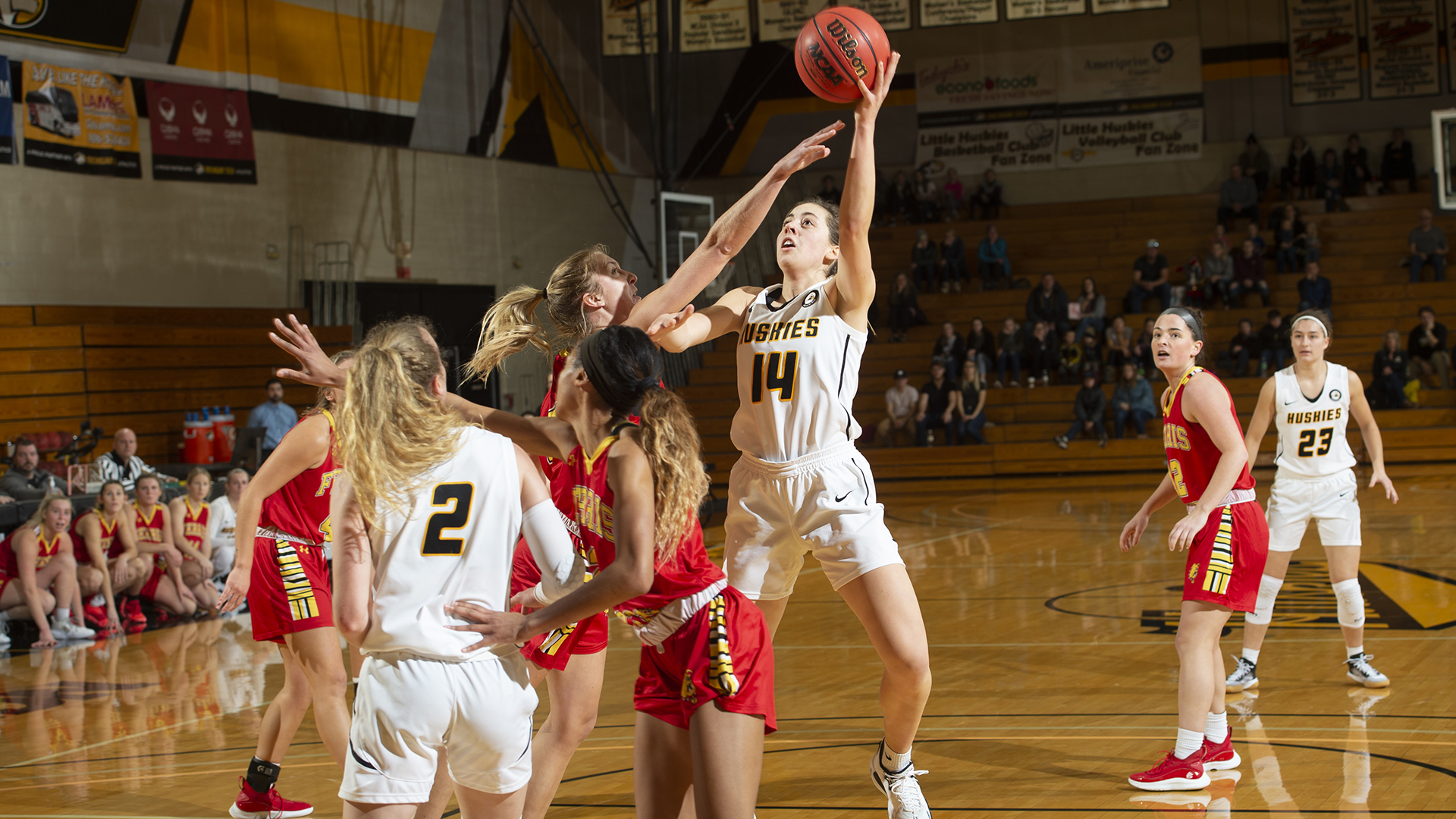 PREVIEW: Huskies host challenging NSIC opponents this week