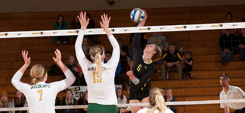 Tech Volleyball Ends Weekend with 3-1 Loss at Wayne State