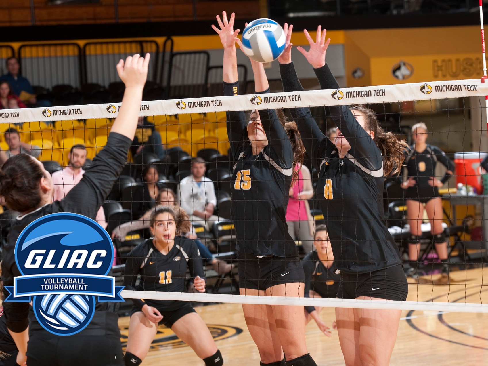 Volleyball Opens GLIAC Tournament Wednesday at Home