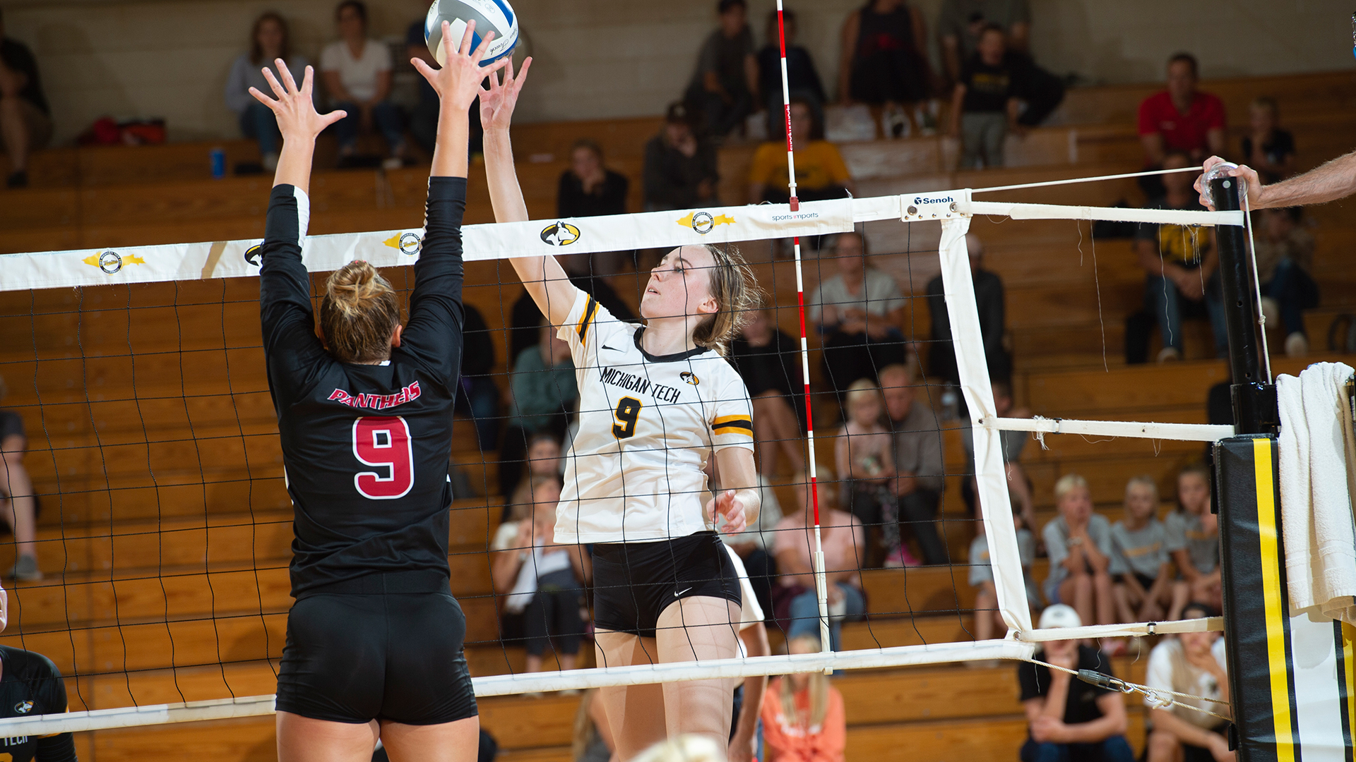 PREVIEW: Volleyball begins postseason at Wayne State