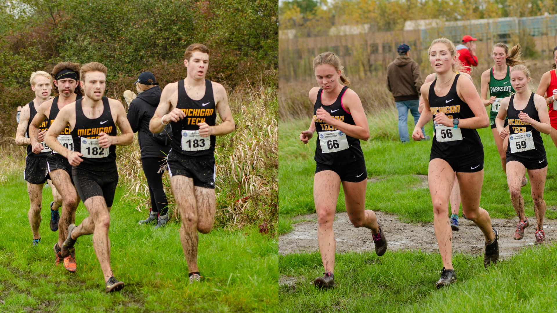 PREVIEW: Division II Midwest Cross Country Regional